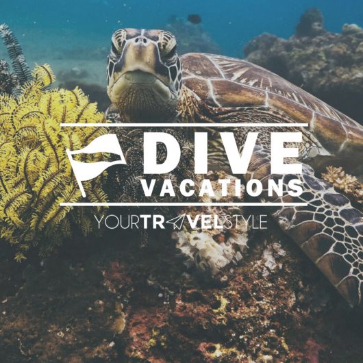 7 Nights Apo Island Dive – Dauin, Philippines