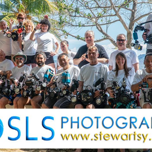 Anilao Underwater Photography Dive Trip