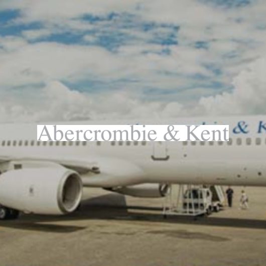 Wildlife Safari: Around the World by Private Jet 2020